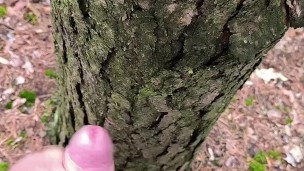 Hiker masturbates during forest hike and cumson tree