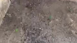 MI VECINO ME FOLLA EN EL JARDÍN