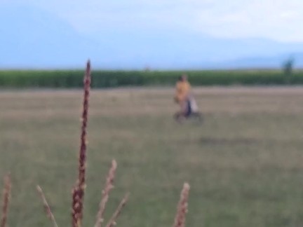 Voyeur a girl masturbating in Corn Field n CUM Creampie her