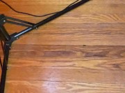 Legendary Lesbians 5/16