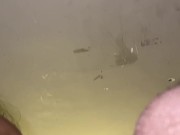 Compañera se deja Culiar en la Bodeguita 9/16