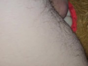 New Teddy Teaser 11/16