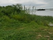 Молодая мамочка на природе, начинающая эксгибиционистка показала свою попку 1/16