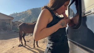 I dream of saving horses by sucking dick in my first even glory hole.