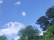 Pissing at the Lookout