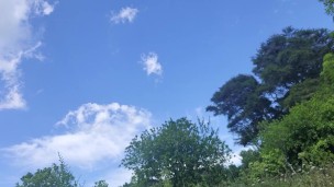 Pissing at the Lookout