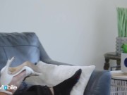 ADULTMOBILE - Aila Donovan Puts On A Sexy White Lingerie & Has The Time Of Her Life With Jay Romero 3/16