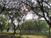 TEST 1920x1080 46mb 5/16