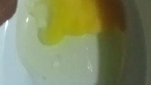 Cock cum with eggs