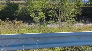 Outdoor masturbation and cumshot near the public road