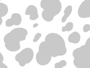 These secretaries get creampied all over the office to satisfy the boss! 6/16