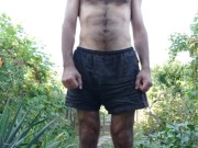 End of the day in the garden 13/16