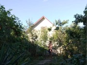 End of the day in the garden 16/16