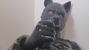 ラバー犬がオナニー
