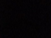 Eat that pussy in back of the car 16/16