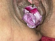 Flower Box - Screenshot 5 of 16 - Sexy Clit