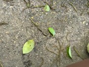 And another one 4/16