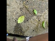 And another one 5/16