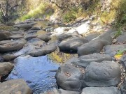 New Amateur Méxicano