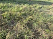 Hot housewife mom with a great body teaches sex, sucks cock and fucks outdoors 8/16