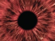 Submissive Laura Quest gets Fucked Hard & Covered with Jizz | Tas Tas Show Compilation 16/16