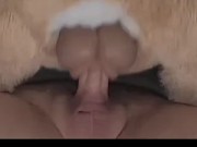 Breeding my Teddy Bear 7/16