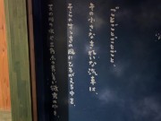 Busty Japanese woman takes a beautiful hot spring and has a POV 1/16