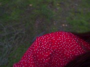 girl took me for a walk in the woods and sucked me off by the river 11/16