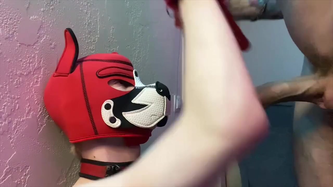 Top, with a big dick, fucks his puppy in the mouth. - Free Sex Video - RedTube