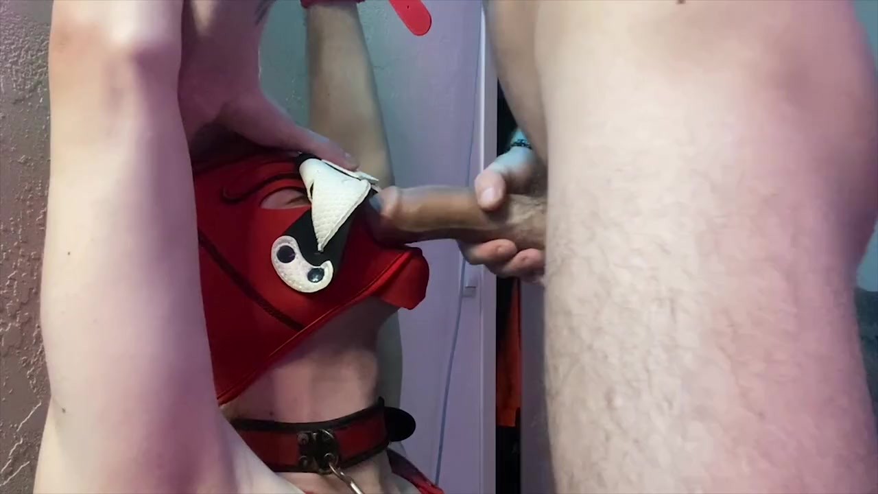 Top, with a big dick, fucks his puppy in the mouth. - Free Sex Video - RedTube