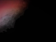 "FREE FOR ALL 3" | ANIME HMV