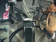 Strap on Stories - WOMEN BREEDING MEN. TODAY I USE YOUR PRISON WALLET FOR MY OWN PLEASURE 10/16