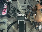 Strap on Stories - WOMEN BREEDING MEN. TODAY I USE YOUR PRISON WALLET FOR MY OWN PLEASURE 16/16