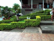 Petite rubia de 18 años se folla a un extraño en publico cuando sus padres no están! Naty Delgado 1/16