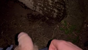 Desperate morning pee I had to find a tree to pee on