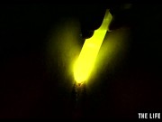 Watch this hot blonde plunge glowsticks in her pussy and ass 11/16
