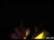 Watch this hot blonde plunge glowsticks in her pussy and ass 14/16