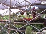 Slim Babe Maria Antonia Alzate Has Her Latina Twat Pounded Deep - MAMACITAZ 1/16