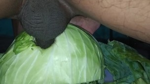 Pakinoon Playing With Cabbage With His Horny Big Cock And Balls For Dream 2 Please CUMS
