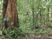 Porno D&D World - Sweetie Fox, Diana Rider and ArinaFox in Sex Adventure 1/16