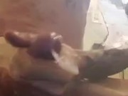 9 huge spurts of cum 5/16