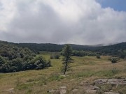my best friend interrupted my hike and drove me to drain his balls in the mountains - little arden 6/16