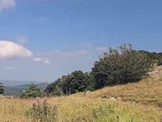 my best friend interrupted my hike and drove me to drain his balls in the mountains – little arden