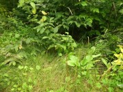 Russian busty fucks while her hubby is at work 8/16