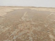 Sexy girl in a bodysuit pees 14/16