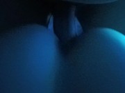 Sheep or Dog Style? 12/16