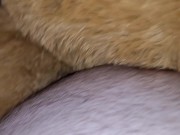 Teddy babes get fucked and cummed on 11/16