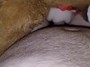 Teddy babes get fucked and cummed on 12/16