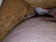 Teddy babes get fucked and cummed on 15/16