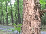 Hot interracial sex outside on my motorbike 1/16